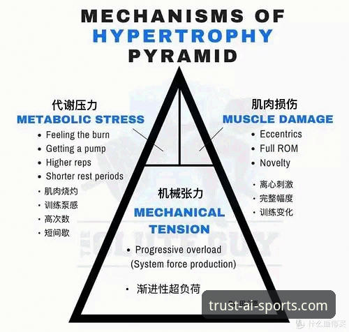 爱体育流畅操作怎么样 爱体育流畅操作vs同类平台:老用户告诉你哪个更值得选